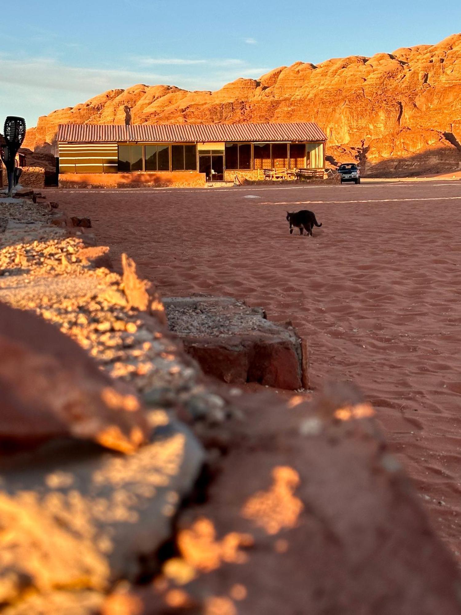 Отель Salameh'S Bedouin Camp Вади-Рам Экстерьер фото